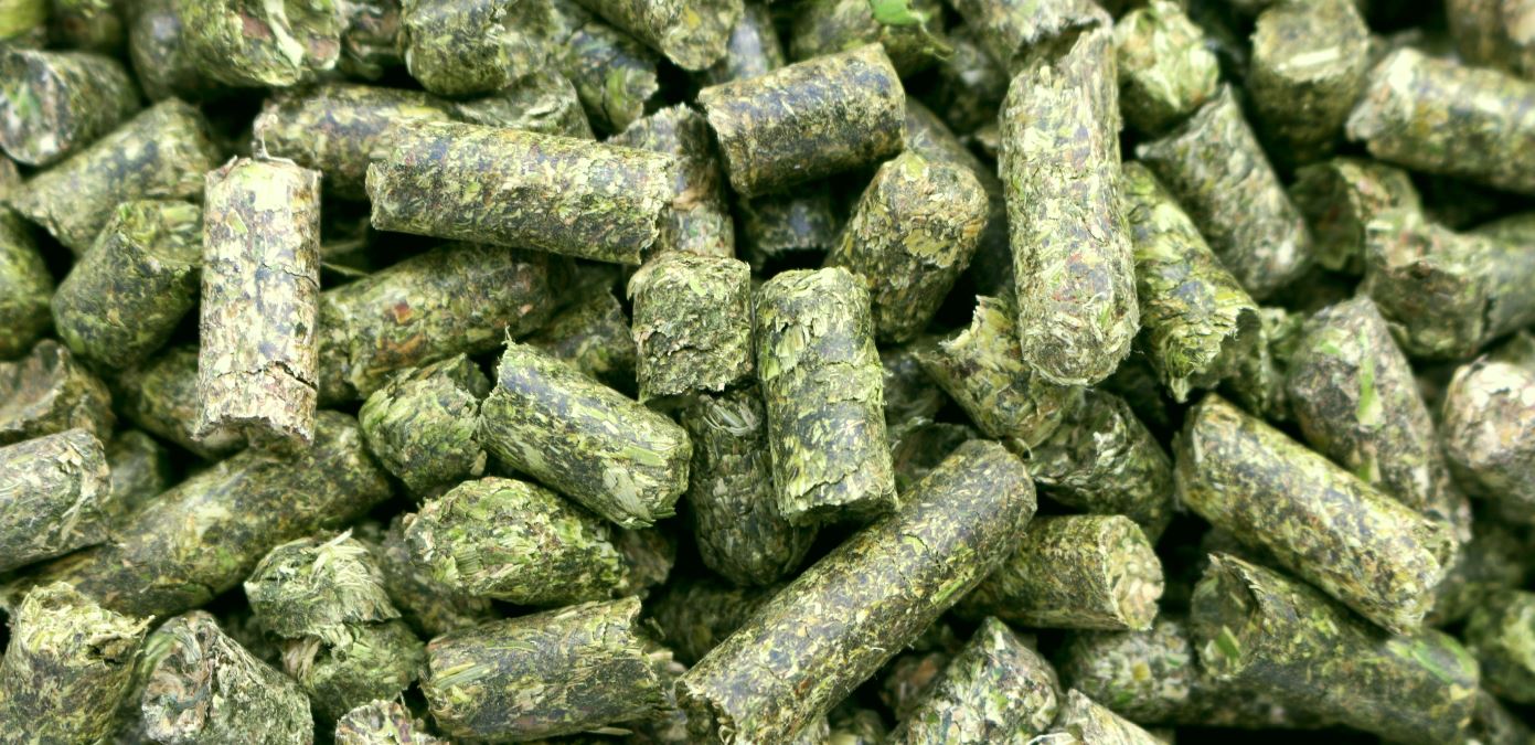 Luzernecobs Qualitätstrocknung Nordbayern